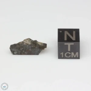 NWA 11182 Lunar Meteorite 0.95g Part End Cut