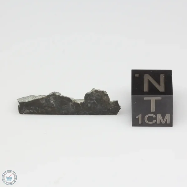 NWA 11182 Lunar Meteorite 0.99g Part End Cut