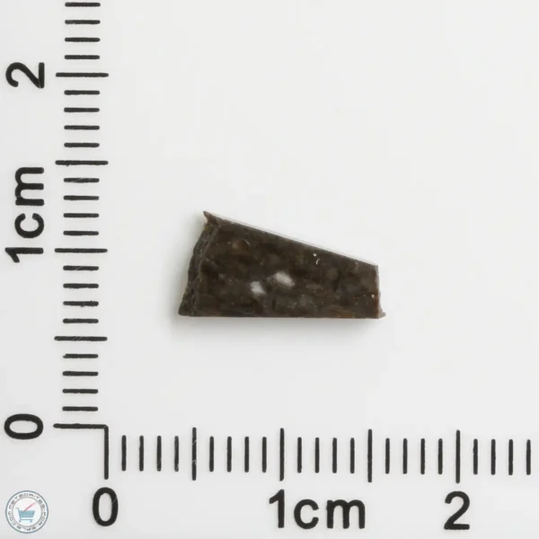 NWA 11182 Lunar Meteorite 0.23g