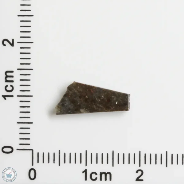 NWA 11182 Lunar Meteorite 0.28g