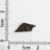 NWA 11182 Lunar Meteorite 0.24g