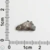 NWA 11182 Lunar Meteorite 0.23g