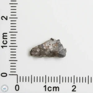 NWA 11182 Lunar Meteorite 0.23g