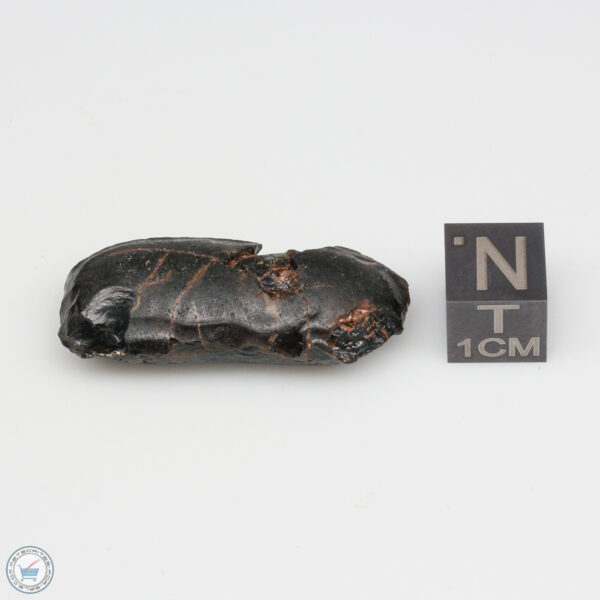 Australite Tektite Partial Flanged Boat 7.2g