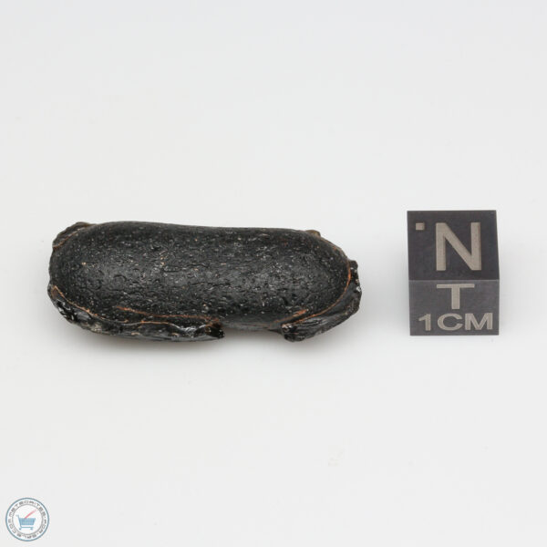 Australite Tektite Partial Flanged Boat 7.2g