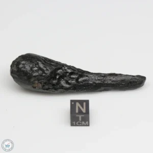 Thailand Tektite 21.5g