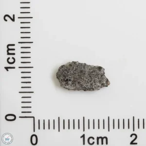 NWA 12269 (Paired) Martian Meteorite 0.17g