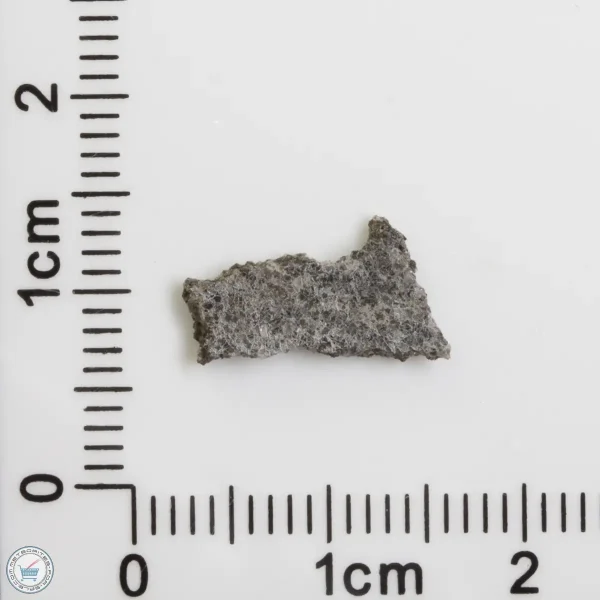 NWA 12269 (Paired) Martian Meteorite 0.25g