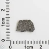 NWA 12269 (Paired) Martian Meteorite 0.29g