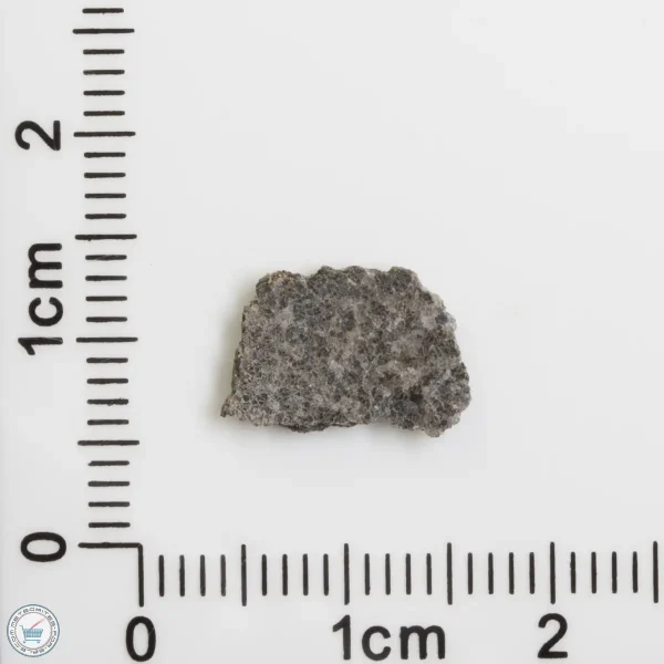 NWA 12269 (Paired) Martian Meteorite 0.29g