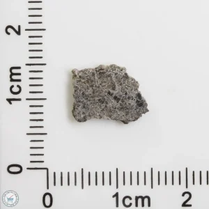 NWA 12269 (Paired) Martian Meteorite 0.28g