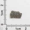 NWA 12269 (Paired) Martian Meteorite 0.32g