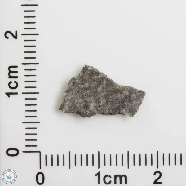 NWA 12269 (Paired) Martian Meteorite 0.34g