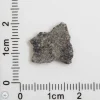 NWA 12269 (Paired) Martian Meteorite 0.61g