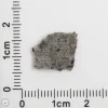 NWA 12269 (Paired) Martian Meteorite 0.53g