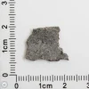 NWA 12269 (Paired) Martian Meteorite 0.79g