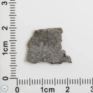 NWA 12269 (Paired) Martian Meteorite 0.79g