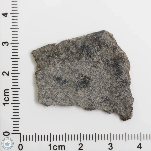 NWA 12269 (Paired) Martian Meteorite 3.46g