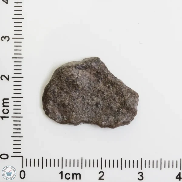 Amgala 001 Martian Meteorite End Cut 1.58g