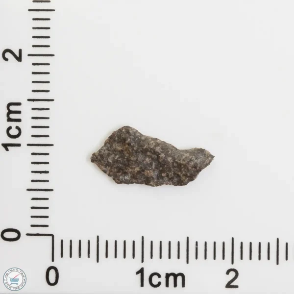 Amgala 001 Martian Meteorite End Cut 0.11g