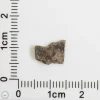 Amgala 001 Martian Meteorite End Cut 0.17g