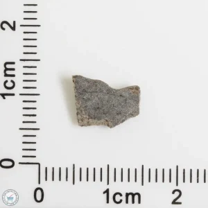 Amgala 001 Martian Meteorite End Cut 0.17g