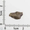 Amgala 001 Martian Meteorite End Cut 0.35g