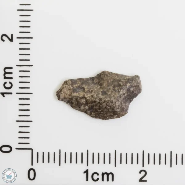 Amgala 001 Martian Meteorite End Cut 0.35g