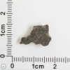 Amgala 001 Martian Meteorite End Cut 0.49g