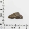 Amgala 001 Martian Meteorite End Cut 0.64g