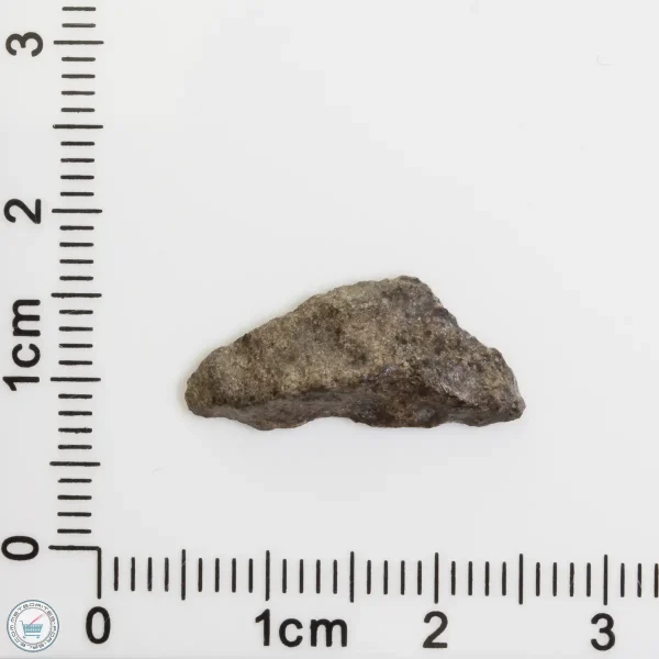 Amgala 001 Martian Meteorite End Cut 0.64g