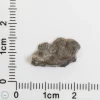 Amgala 001 Martian Meteorite End Cut 0.73g