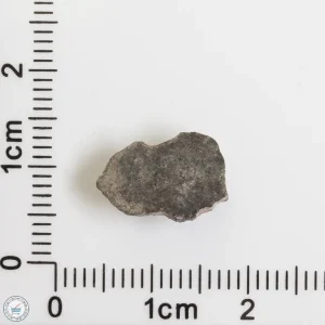 Amgala 001 Martian Meteorite End Cut 0.51g