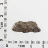 Amgala 001 Martian Meteorite End Cut 0.73g