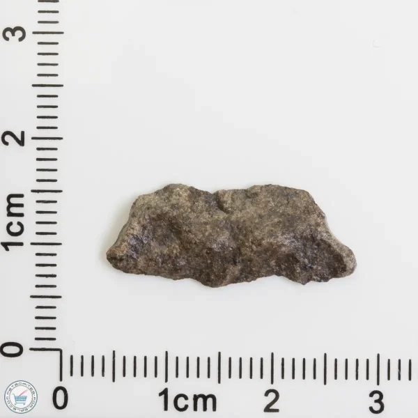 Amgala 001 Martian Meteorite End Cut 0.73g