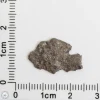 Amgala 001 Martian Meteorite End Cut 0.43g