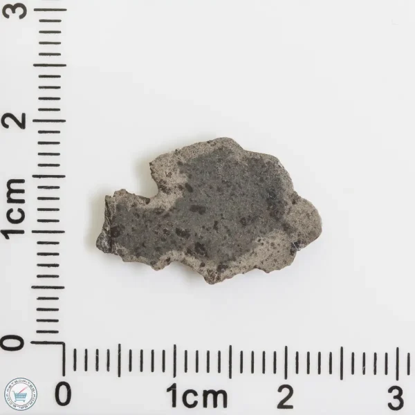 Amgala 001 Martian Meteorite End Cut 0.43g