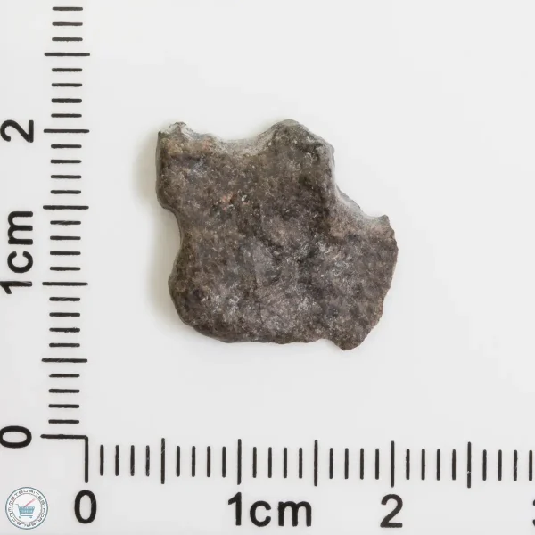 Amgala 001 Martian Meteorite End Cut 0.79g