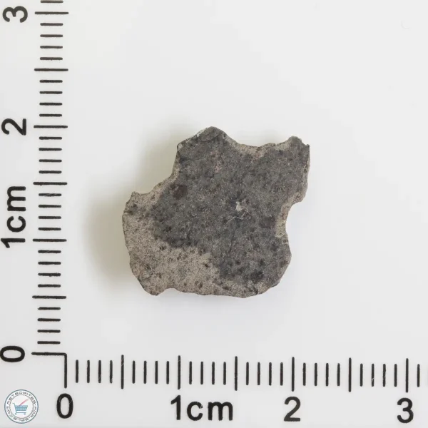 Amgala 001 Martian Meteorite End Cut 0.79g