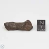 Canyon Diablo Meteorite 11.7g