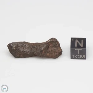 Canyon Diablo Meteorite 11.7g