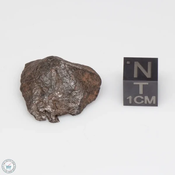 Canyon Diablo Meteorite 14.6g