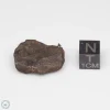 Canyon Diablo Meteorite 9.0g