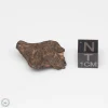 Canyon Diablo Meteorite 11.3g