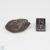 Canyon Diablo Meteorite 15.4g