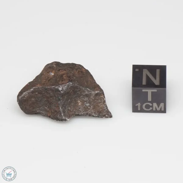 Canyon Diablo Meteorite 12.1g