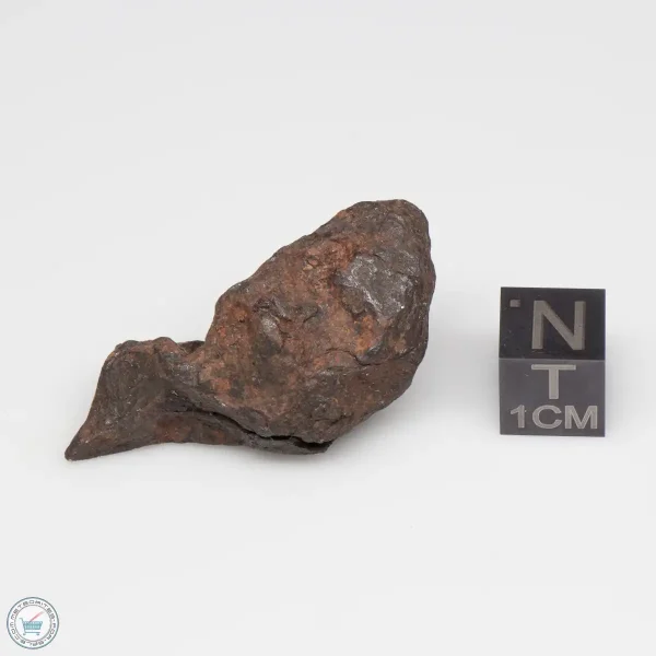 Canyon Diablo Meteorite 28.9g