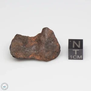 Canyon Diablo Meteorite 24.0g