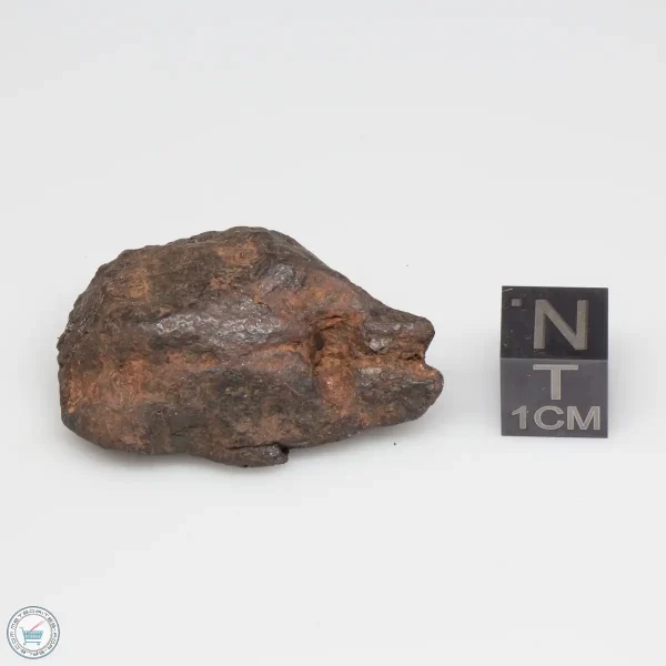 Canyon Diablo Meteorite 33.8g