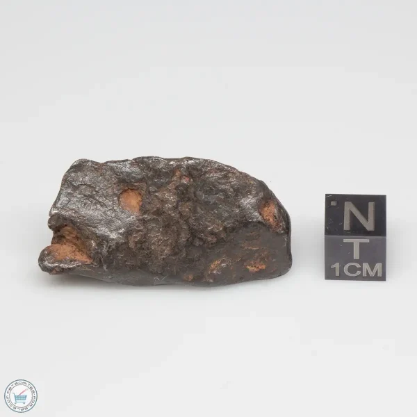 Canyon Diablo Meteorite 40.1g